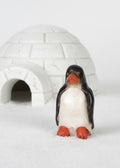 Grumpy Penguin