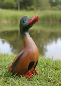 Wooden Ducks
