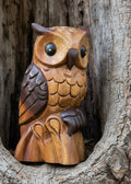 Tawny Owl
